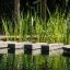 't Groene Plan
