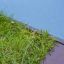 Biopools Degroote Koen