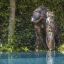 Van Eeckhoudt Pools 