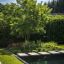 't Groene Plan