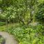 Tuinwerken Willemsens