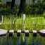 't Groene Plan