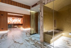 Sanigo Wellness