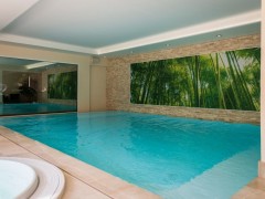 Adam Piscines