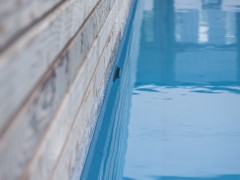 Puur Pool