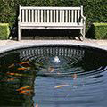 Gevind gezelschap in het water