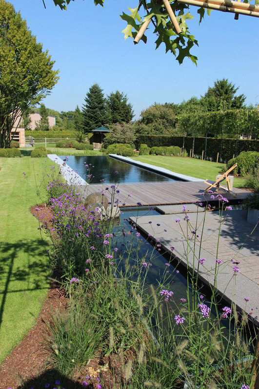 Biotop Living Pool